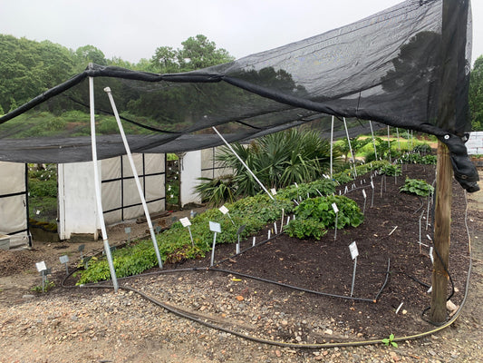 VIP Behind the Scenes Tour