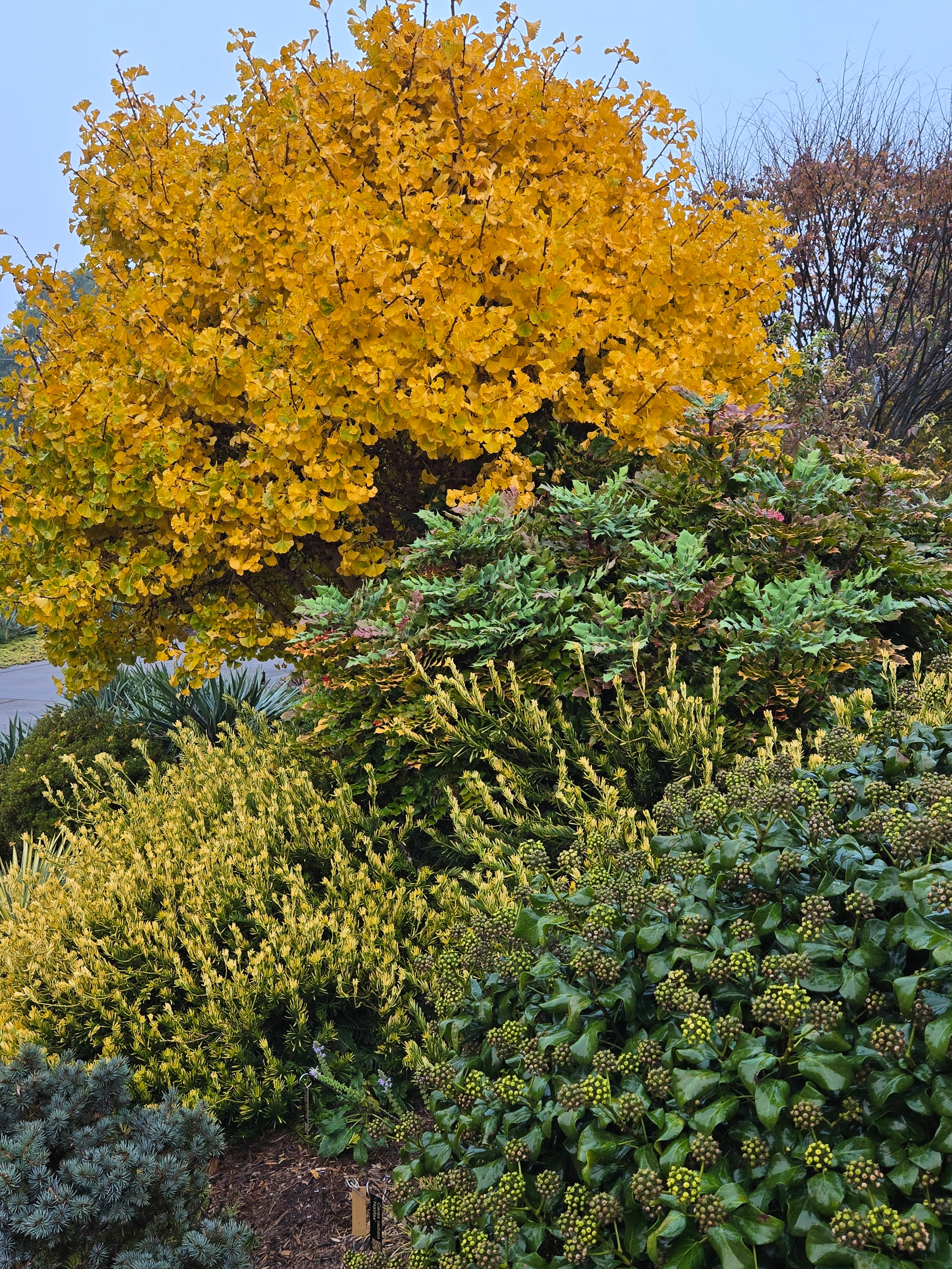 plant delights open house Monthly Garden Tour