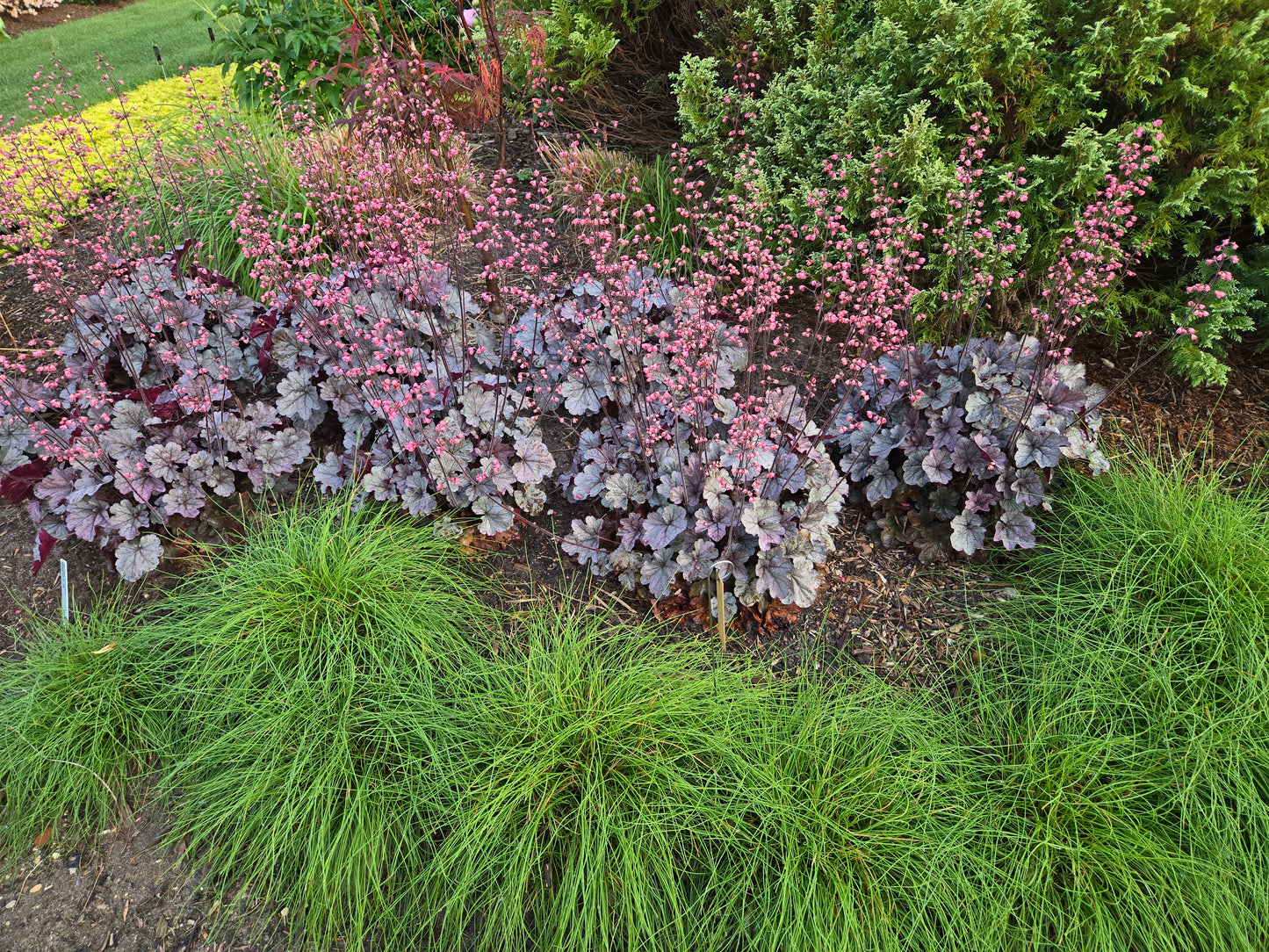 Avent's Private Garden Tour