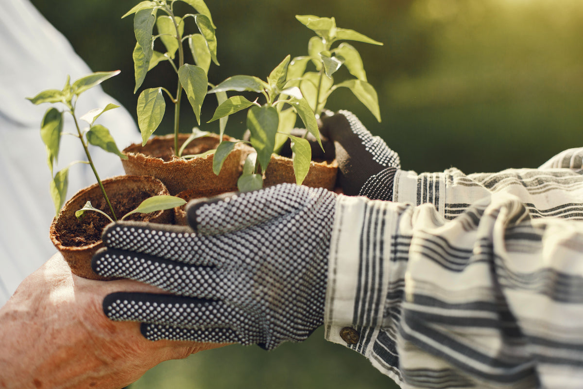 Gardeners holding hands by Gustavo Fring