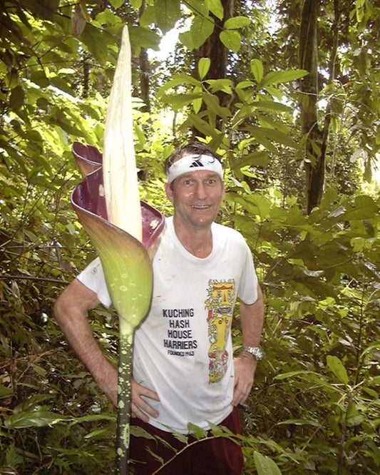 Image of Amorphophallus hewittii|In Situ|P. Boyce