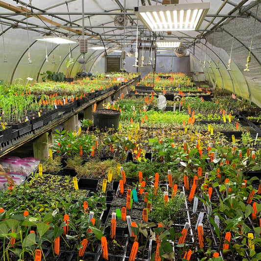 The Basics of Propagation Workshop