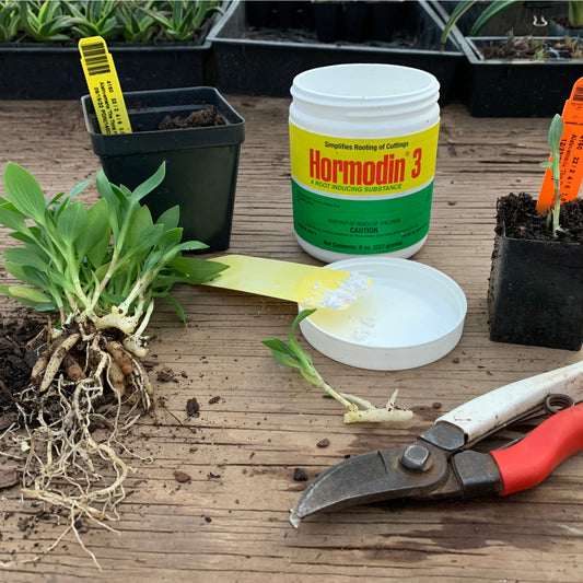 Slice, Dice, and Divide - Propagation Workshop