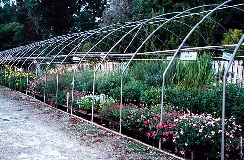 So You Want to Start a Mail Order Perennial Nursery
