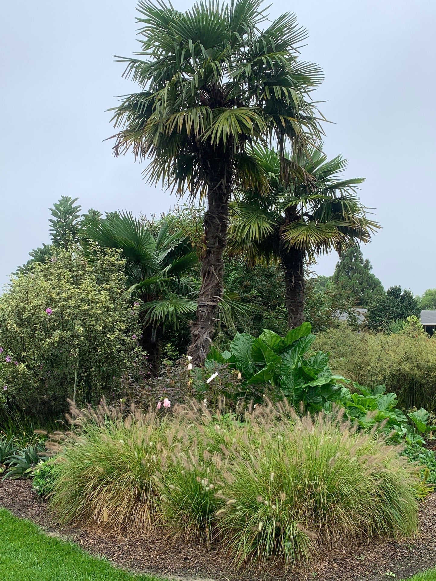 VIP Special Access Tour