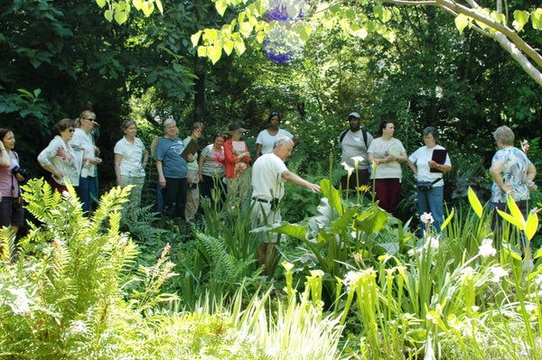 Tony Avent, center, gesturing to a plant while leading a tour in the garden