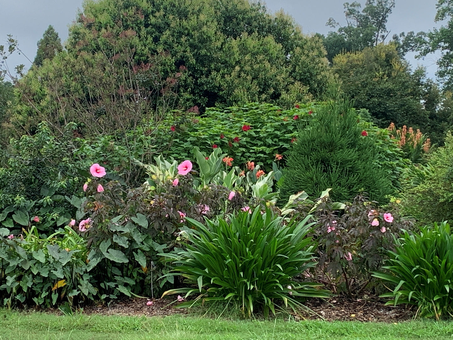plant delights open house Monthly Garden Tour