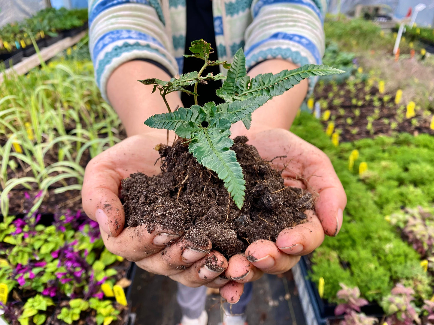 Zoom in on Soils - Online Only