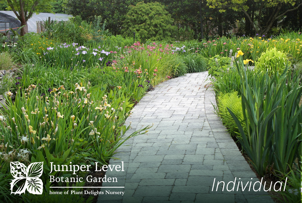 Juniper Level Botanic Garden Membership