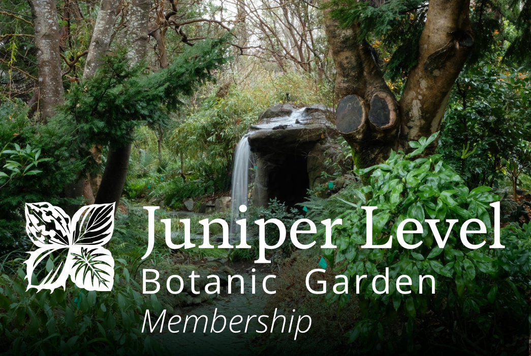 Learn about Perennial Encyclopedia