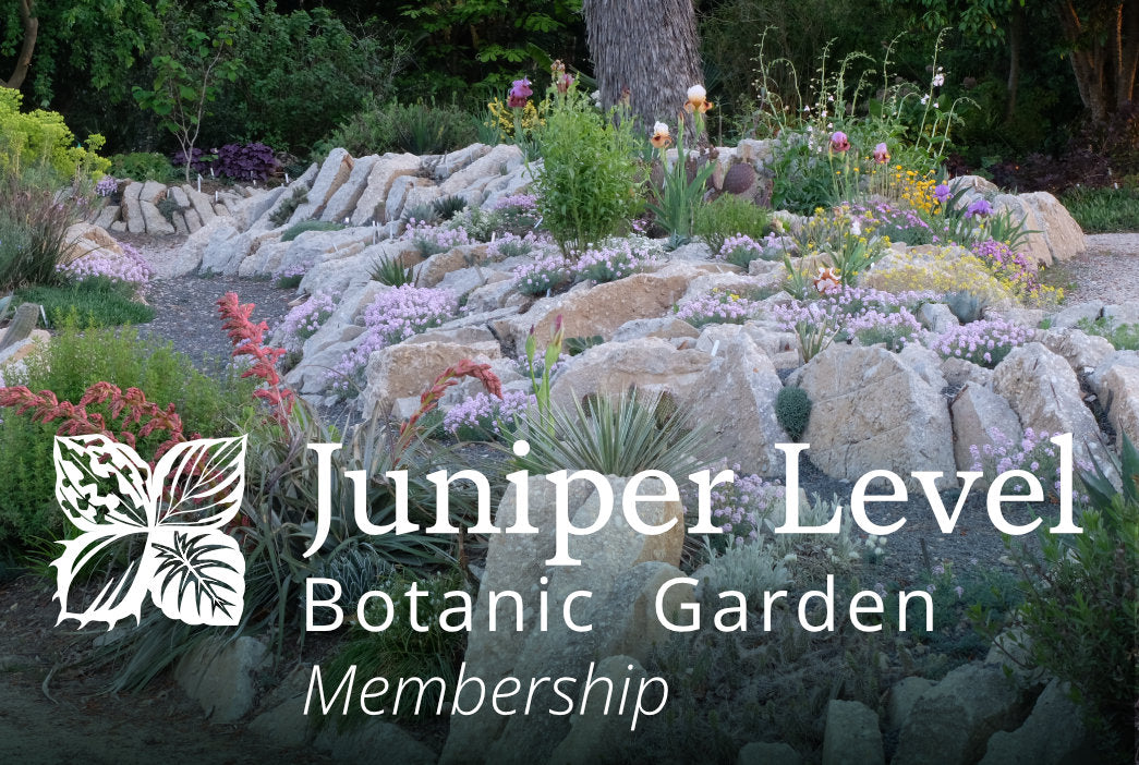 Learn about Perennial Encyclopedia