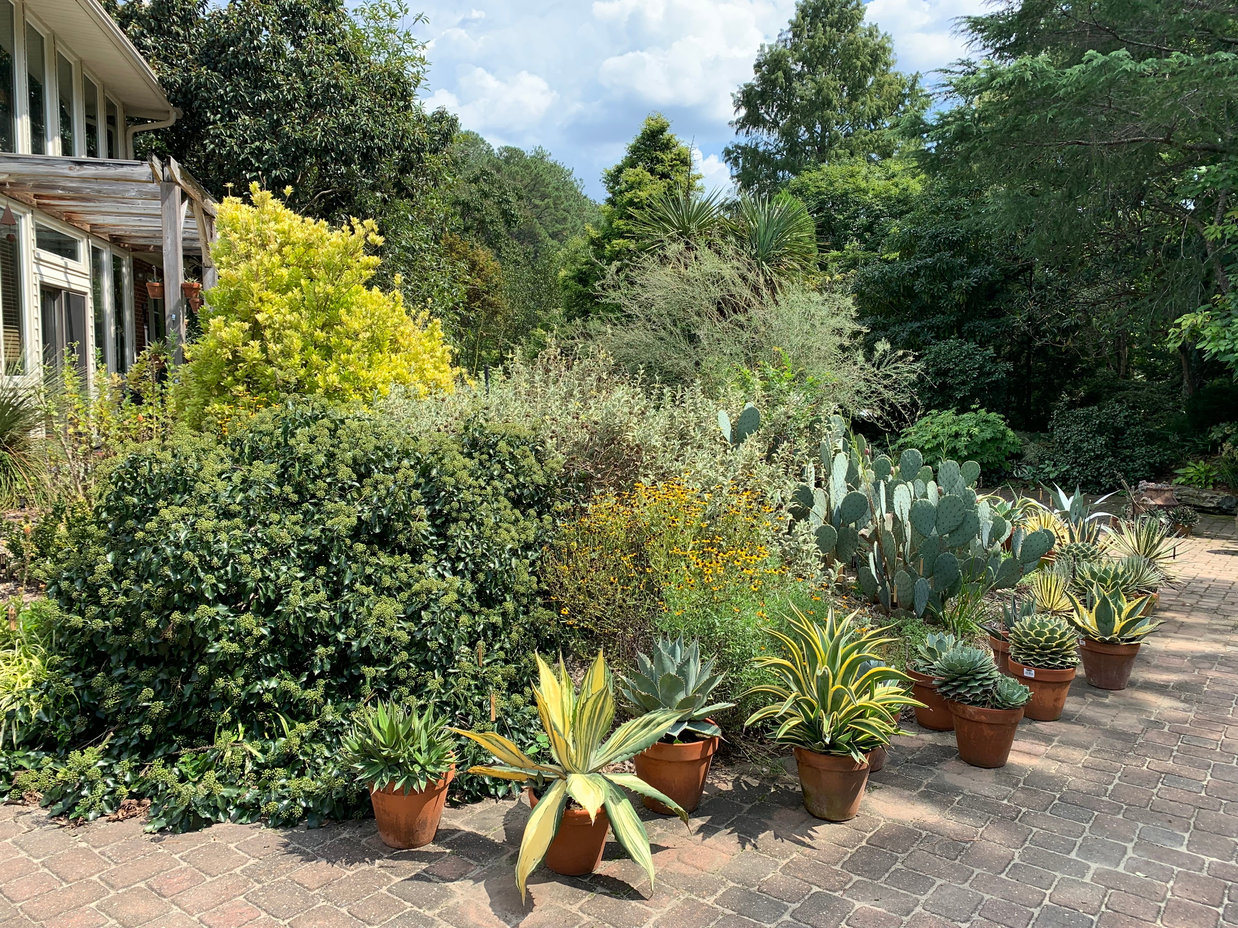 Open Nursery and Garden Days | Free Entry
