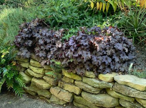 Zoom Recording: Plant Pruning and Fall Clean-up